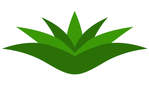botanical image